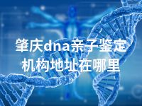 肇庆dna亲子鉴定机构地址在哪里