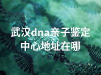 武汉dna亲子鉴定中心地址在哪