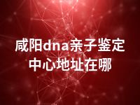 咸阳dna亲子鉴定中心地址在哪