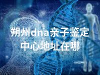 朔州dna亲子鉴定中心地址在哪