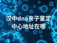 汉中dna亲子鉴定中心地址在哪