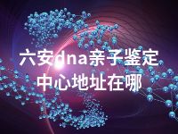 六安dna亲子鉴定中心地址在哪