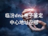 临汾dna亲子鉴定中心地址在哪