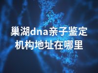 巢湖dna亲子鉴定机构地址在哪里