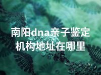 南阳dna亲子鉴定机构地址在哪里