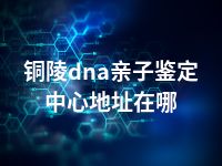 铜陵dna亲子鉴定中心地址在哪