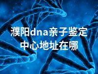 濮阳dna亲子鉴定中心地址在哪