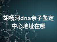 胡杨河dna亲子鉴定中心地址在哪