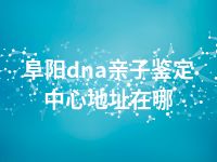 阜阳dna亲子鉴定中心地址在哪