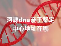 河源dna亲子鉴定中心地址在哪