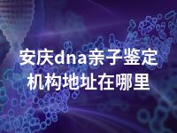 安庆dna亲子鉴定机构地址在哪里