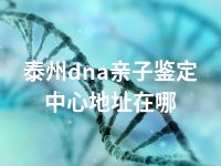 泰州dna亲子鉴定中心地址在哪