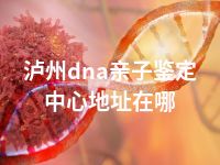 泸州dna亲子鉴定中心地址在哪