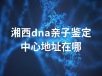 湘西dna亲子鉴定中心地址在哪