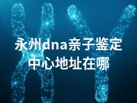 永州dna亲子鉴定中心地址在哪