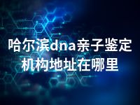 哈尔滨dna亲子鉴定机构地址在哪里