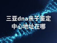 三亚dna亲子鉴定中心地址在哪