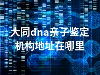 大同dna亲子鉴定机构地址在哪里