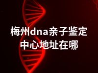 梅州dna亲子鉴定中心地址在哪