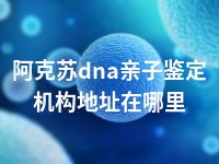 阿克苏dna亲子鉴定机构地址在哪里