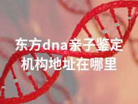 东方dna亲子鉴定机构地址在哪里