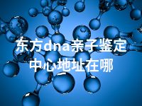 东方dna亲子鉴定中心地址在哪