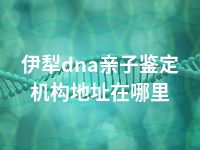 伊犁dna亲子鉴定机构地址在哪里