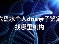 六盘水个人dna亲子鉴定找哪里机构