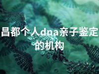 昌都个人dna亲子鉴定的机构