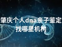 肇庆个人dna亲子鉴定找哪里机构