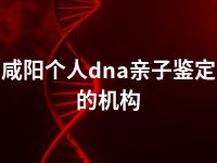 咸阳个人dna亲子鉴定的机构