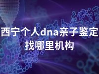 西宁个人dna亲子鉴定找哪里机构