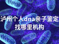 泸州个人dna亲子鉴定找哪里机构