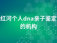 红河个人dna亲子鉴定的机构