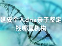 延安个人dna亲子鉴定找哪里机构