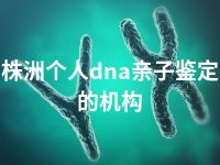 株洲个人dna亲子鉴定的机构