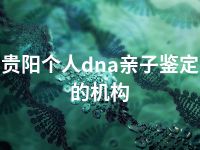 贵阳个人dna亲子鉴定的机构