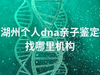 湖州个人dna亲子鉴定找哪里机构