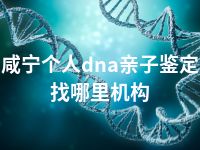 咸宁个人dna亲子鉴定找哪里机构