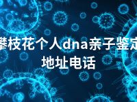 攀枝花个人dna亲子鉴定地址电话