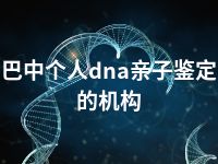 巴中个人dna亲子鉴定的机构