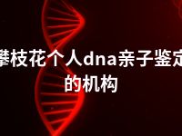 攀枝花个人dna亲子鉴定的机构