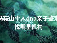 马鞍山个人dna亲子鉴定找哪里机构