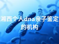 湘西个人dna亲子鉴定的机构