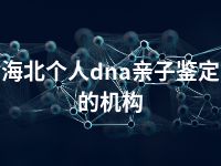 海北个人dna亲子鉴定的机构