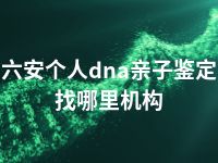 六安个人dna亲子鉴定找哪里机构