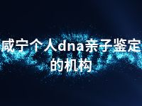 咸宁个人dna亲子鉴定的机构