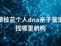 攀枝花个人dna亲子鉴定找哪里机构