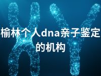 榆林个人dna亲子鉴定的机构