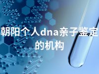 朝阳个人dna亲子鉴定的机构